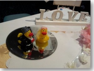 Brisbane Celebrant Weds Duck Bride & Groom