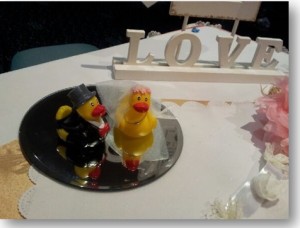 Best Brisbane Wedding Celebrant Weds Duck Bride & Groom